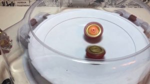 ЕЩЁ ОДИН АХИЛЕС? НО ВРОДЕ НОРМ / Бейблэйд Бёрст / Beyblade Burst / Бейзон / Beyzone