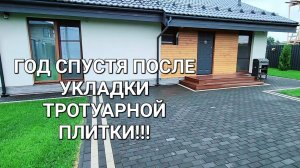 Выпуск № 36. Год спустя после укладки тротуарной плитки.
