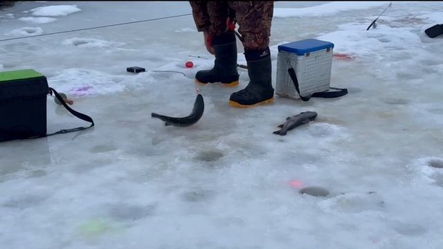 02-01-2025 смотреть онлайн