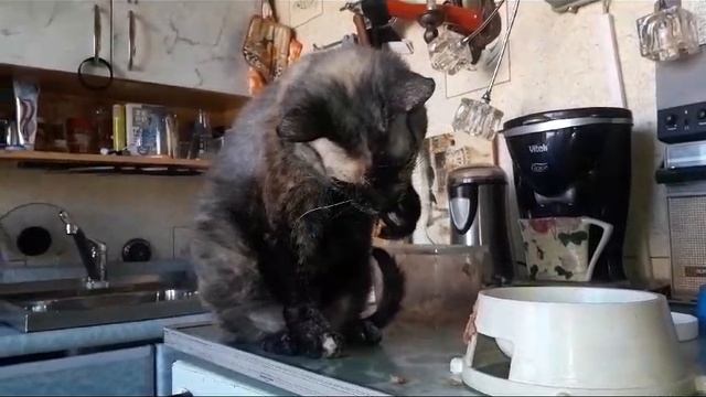 Фаня графиня смотреть онлайн