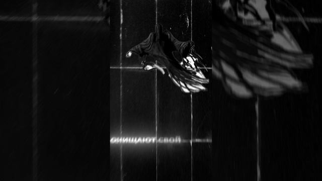 Как проходит НОВЫЙ ГОД в разных СТРАНАХ?