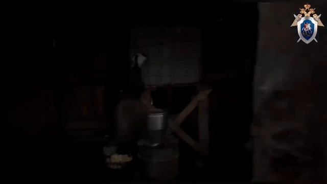 Найденная погибшей в свинарнике в Красноярском крае девушка была убита человеком смотреть онлайн