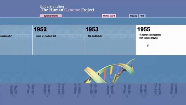 Human Genome Project - Timeline смотреть онлайн