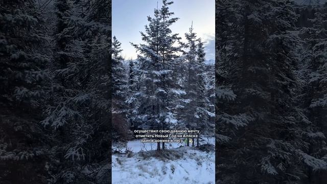 Новый год на Аляске