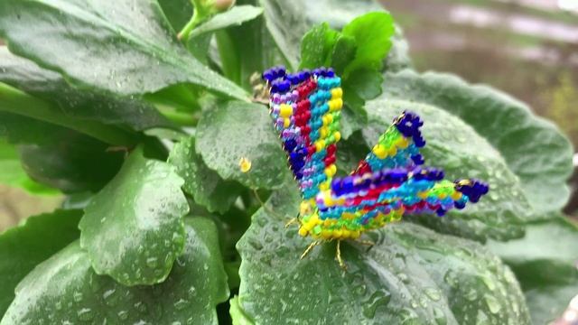 Бабочка из бисера / как из бисера сделать бабочку / как плести из бисера / своими руками / смотреть онлайн