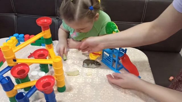 БЕССТРАШНЫЙ хомяк КОШКА🐈 сидит рядом ОПАСНОЕ представление 0+ смотреть онлайн