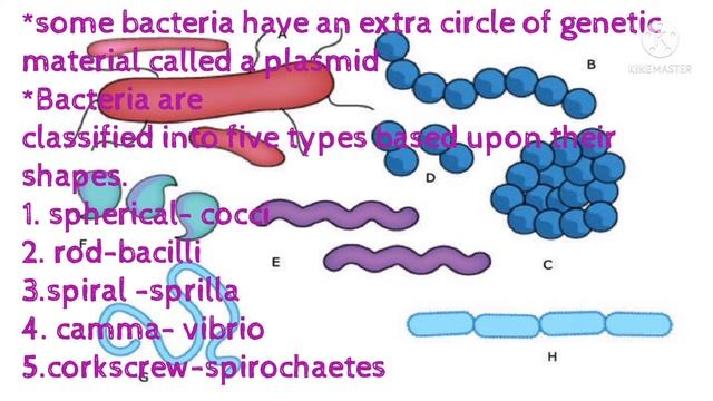 General introduction of bacteria / Bacteria introduction смотреть онлайн