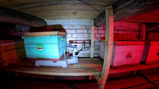 Пчёлы в подвале. Контрольный улей на весах. смотреть онлайн