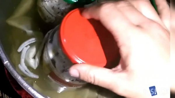 Говяжий язык. Уйдун тили. Тилди туура бышыруу.