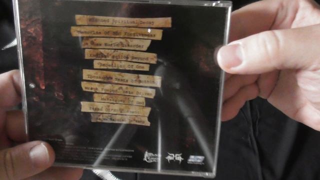 Фан Коллекция группы Moray Eel