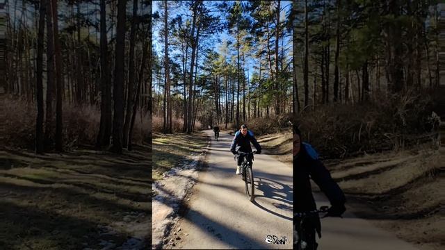 экскурсия 31 12 24.mp4 смотреть онлайн