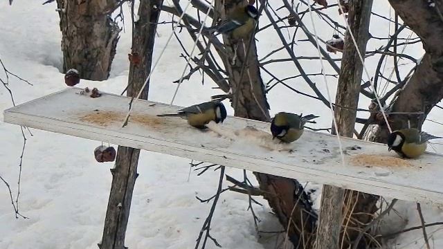 Колхоз - дело коллективное