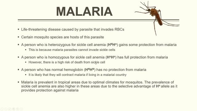 IGCSE BIOLOGY REVISION [Syallbus 18] - Variation & Selection смотреть онлайн