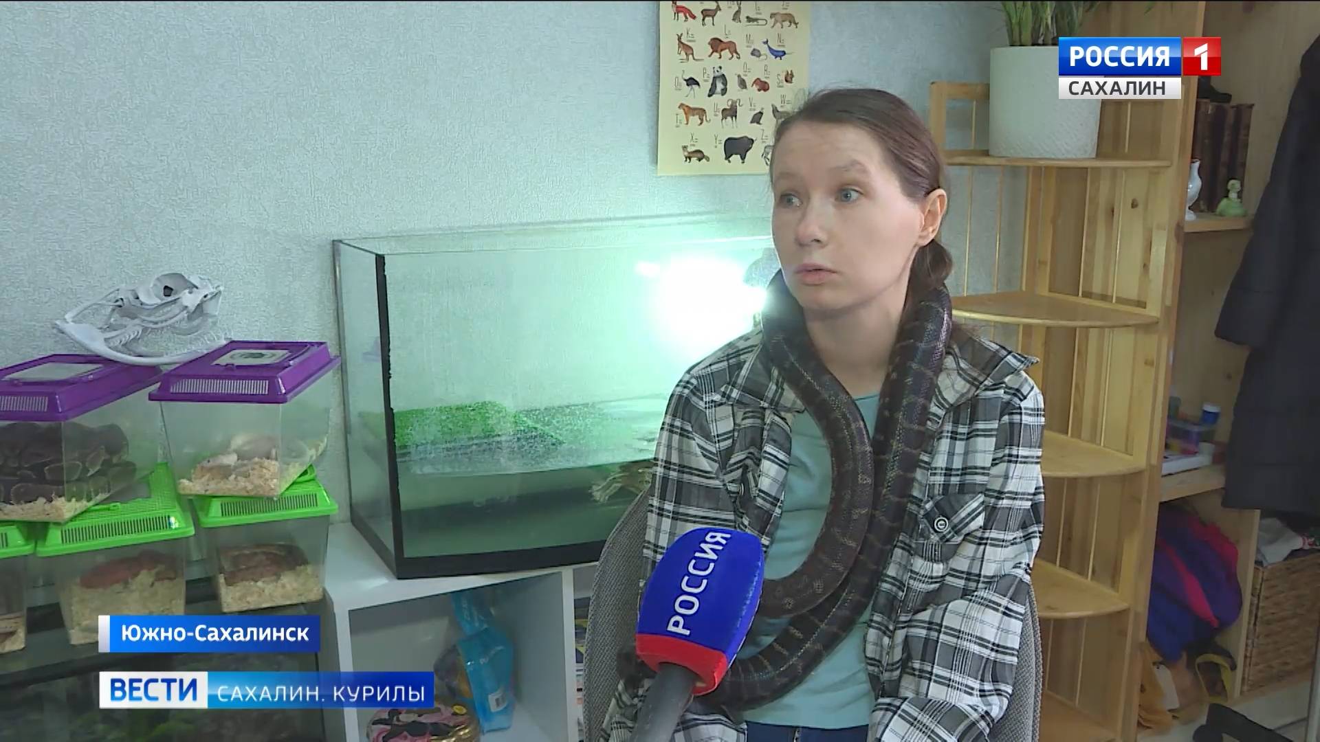 "Вести. Сахалин. Курилы". 2 января 2025 года смотреть онлайн