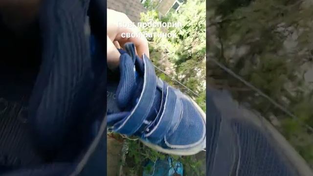 пон не пон смотреть онлайн