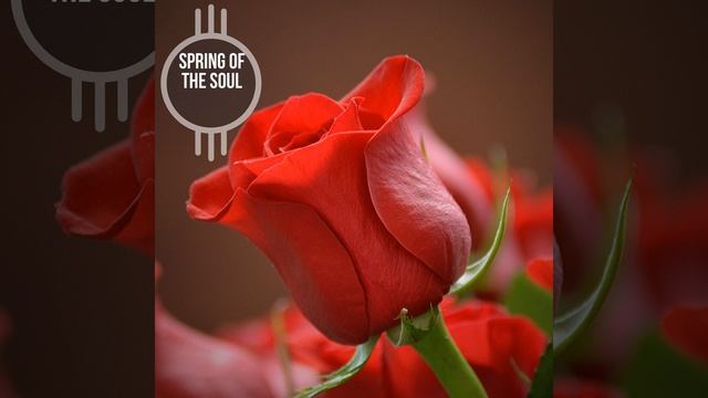 Meditation Provide a Framework (Soft Piano A Sharp) смотреть онлайн