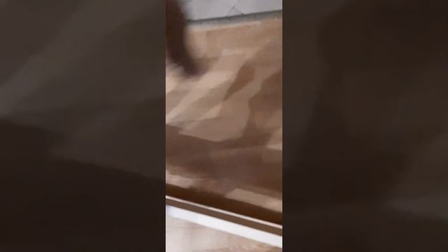 Команда барьер смотреть онлайн