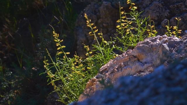 Exploring Amazing Place on Earth - 4K Relaxation Video of the Northern Black Sea смотреть онлайн