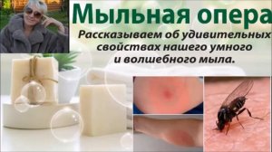 Умное мыло овсяное