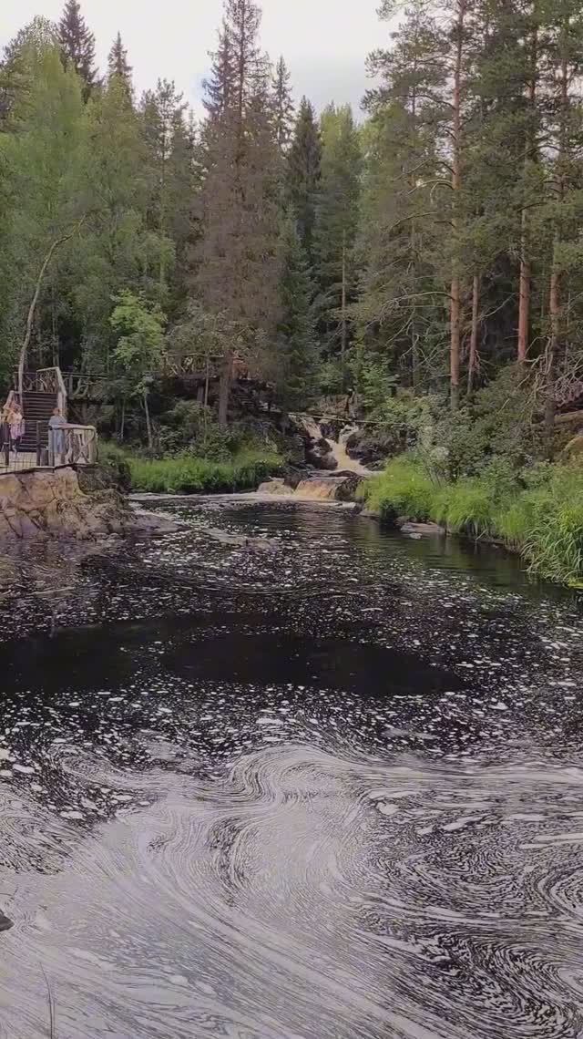 Карелия 2024. Водопады Ахинкоски. Июль 2024 (Часть 1).mp4 смотреть онлайн