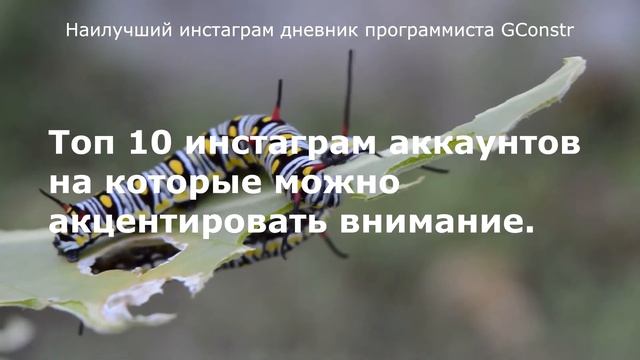 Наилучший инстаграм дневник программиста GConstr смотреть онлайн