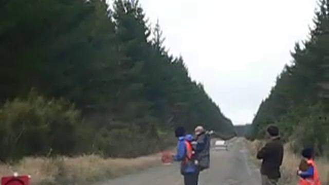 pink rx7 start смотреть онлайн