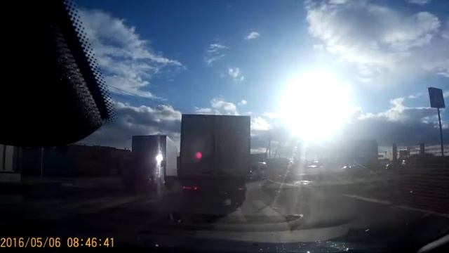 Собаки умнее людей смотреть онлайн