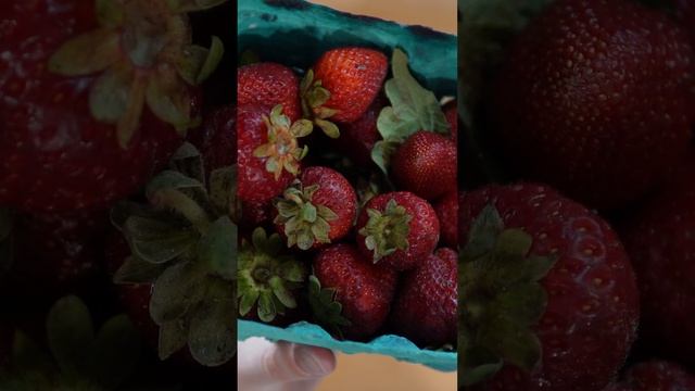 Easy Dessert for Date Night смотреть онлайн