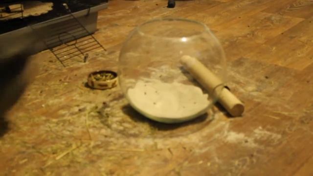 шушки смотреть онлайн