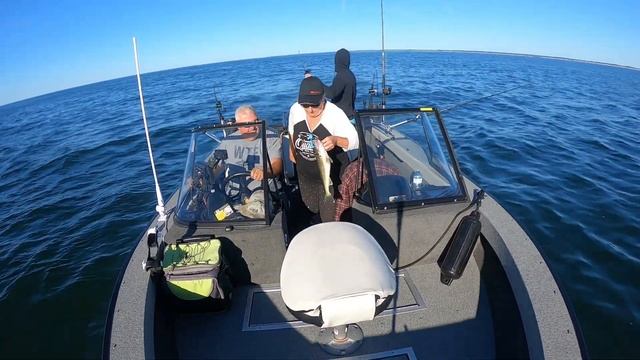 Sep 1, 2022 - LL, JL, QL