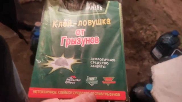 Как поймать крысу без кота How to catch a rat without a cat смотреть онлайн