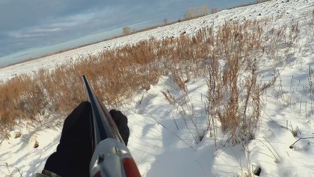 Открытие сезона на зайца 2024 смотреть онлайн