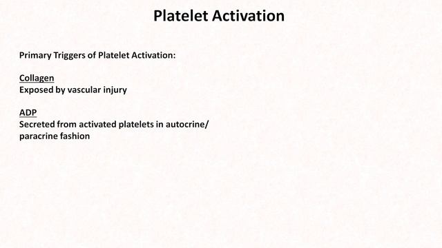 Hemostasis: Lesson 2 - Platelet Activation and Aggregation смотреть онлайн
