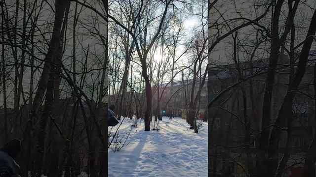 30.11.2023 Сборник Памятник собаке 