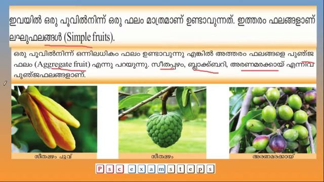 #LDC #lastgrade#keralapsc #sixthscert #Malayalam //SCERT SCIENCE Part 3// смотреть онлайн