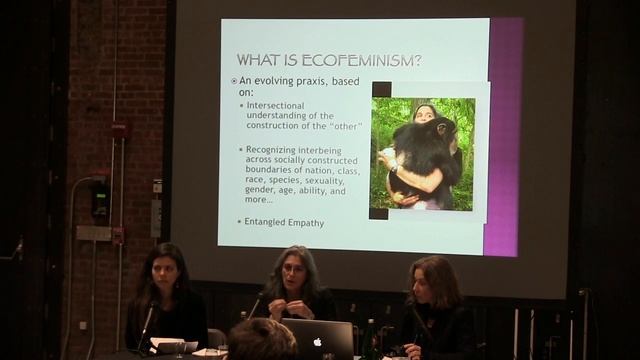 SC Conversations: Ecofeminism and the work of Araya Rasdjarmrearnsook смотреть онлайн