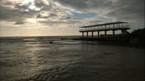 Санаторий Прогресс г.Сочи ХОСТА