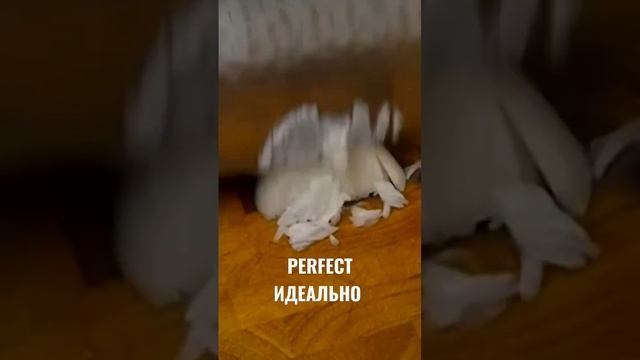 Лук в салат. Великолепная быстрая нарезка #shorts #cutting #цайдао смотреть онлайн