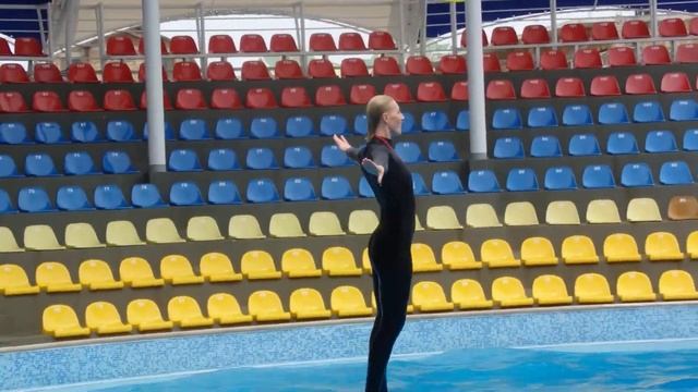 Коктебель. Дельфинарий. 2016 год. смотреть онлайн