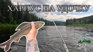 Маховая Удочка ЛЕТОМ на Ближнем Севере Красноярского Края! Тестирую новые материалы вЗабродку!