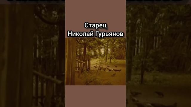 Старец Николай Гурьянов смотреть онлайн