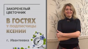 В гостях у Ксении. Ивантеевка. Котики ориенталы, хлорофитумы, монстеры, диффенбахия и фиалки.