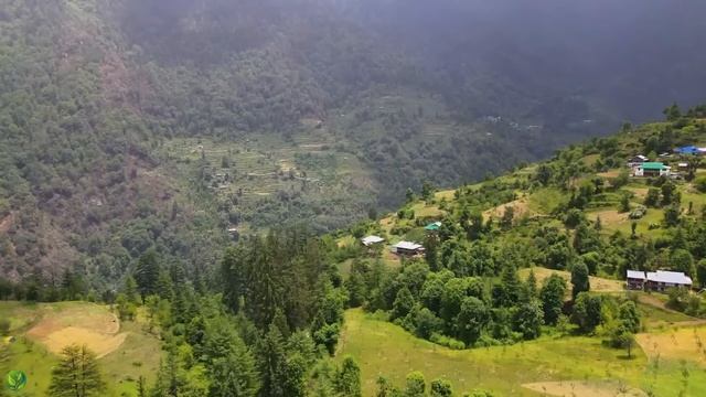 Beautiful Relaxing Music - Stop Overthinking, Stress Relief Music, Sleep Music, Calming Music #105 смотреть онлайн