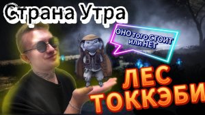 Разбираю спот ЛЕС ТОККЭБИ в Black Desert ( Стоит оно того или НЕТ).