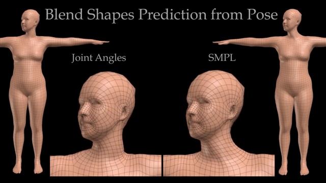 SMPL: A Skinned Multi-Person Linear Model (SIGGRAPH Asia 2015) смотреть онлайн