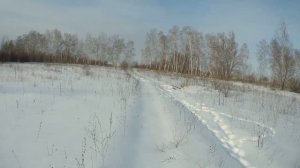 Зимняя прогулка