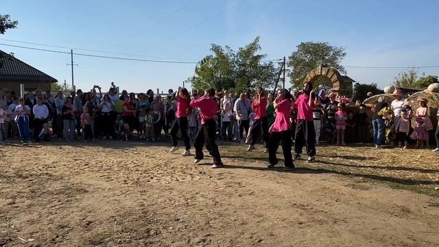 346 скачки на ранчо у иваныча 2024