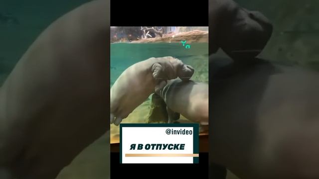 Уже начали худеть к отпуску