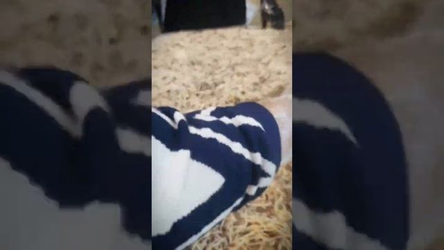 Узбекский кухня и еда "НАРИН " #food #cooking #recipes смотреть онлайн