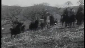 17_Батько Махно (2011)